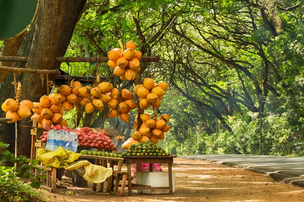 FruitVendorSriLanka