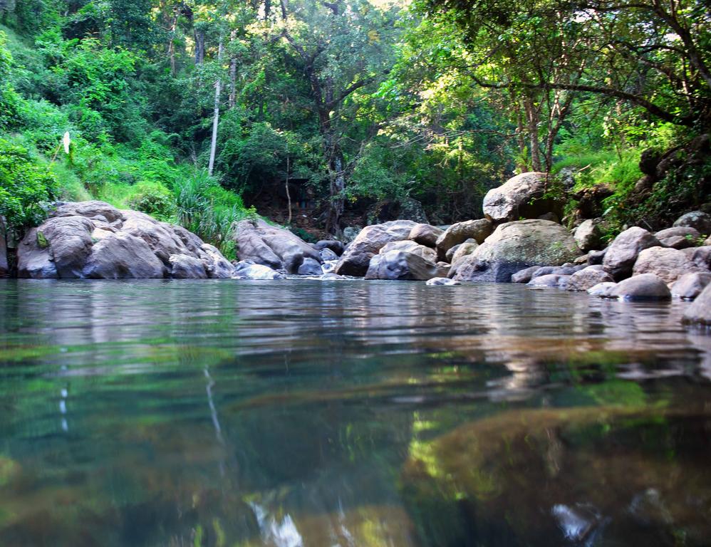 belihuloya trips