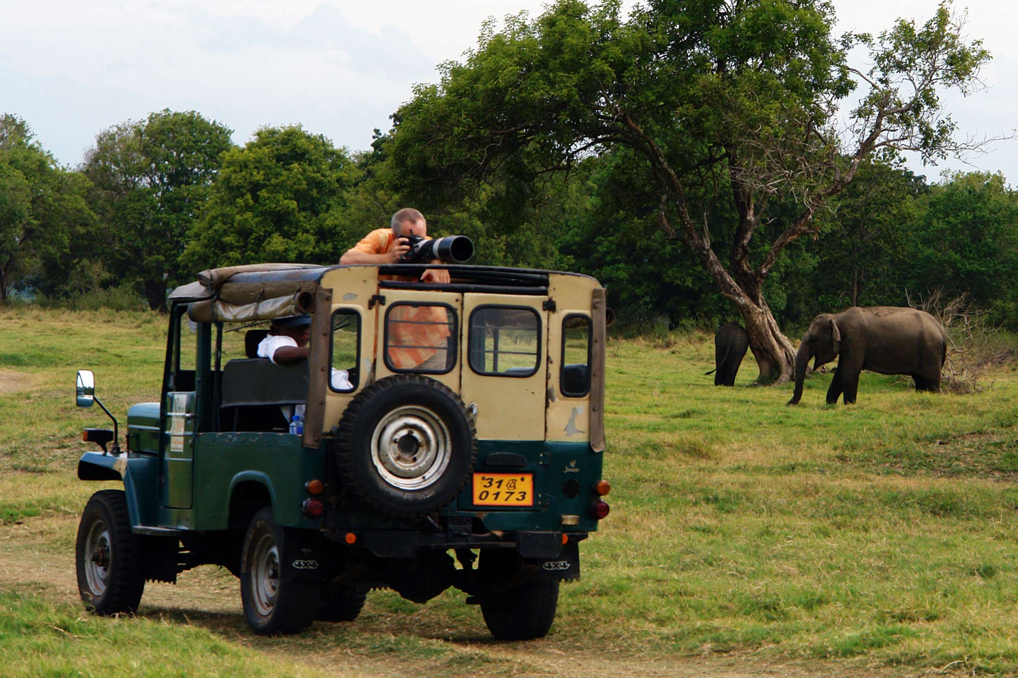 Connaissance De Ceylon Wildlife