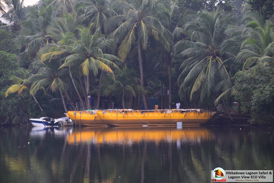 Hikkaduwa Lagoon Safari