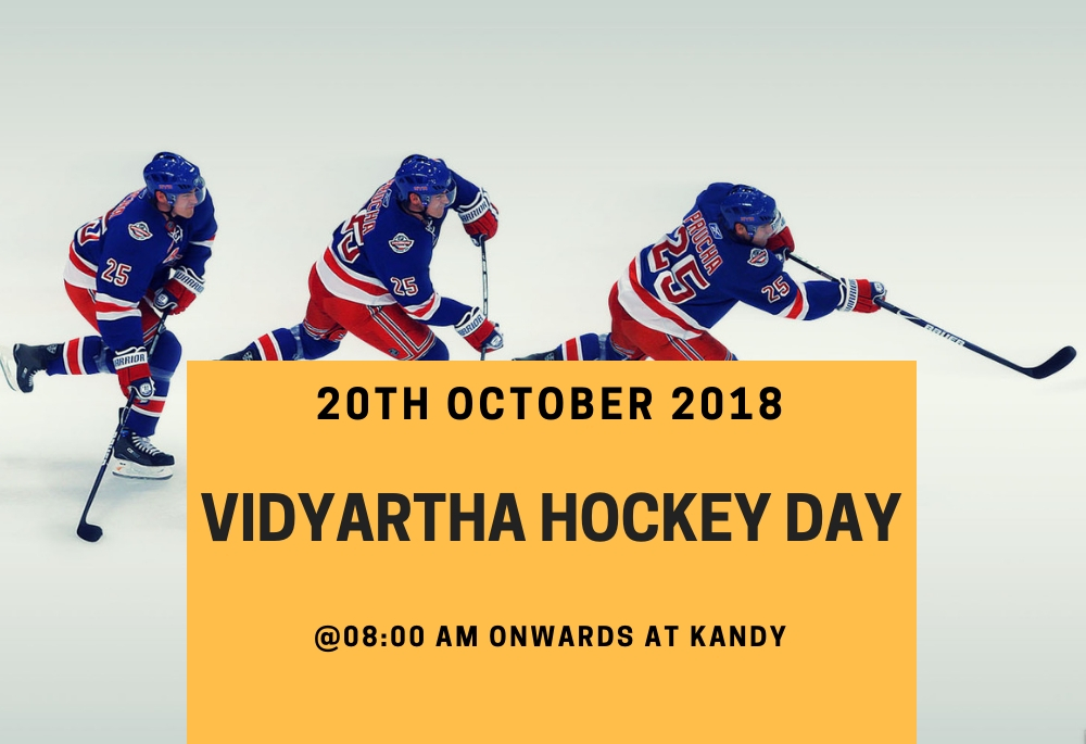 hockey day