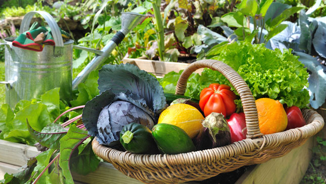 homegarden