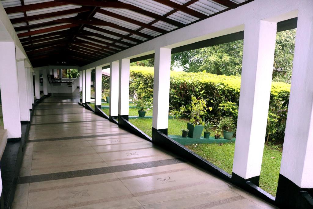 hotel-hilltop-walking-place