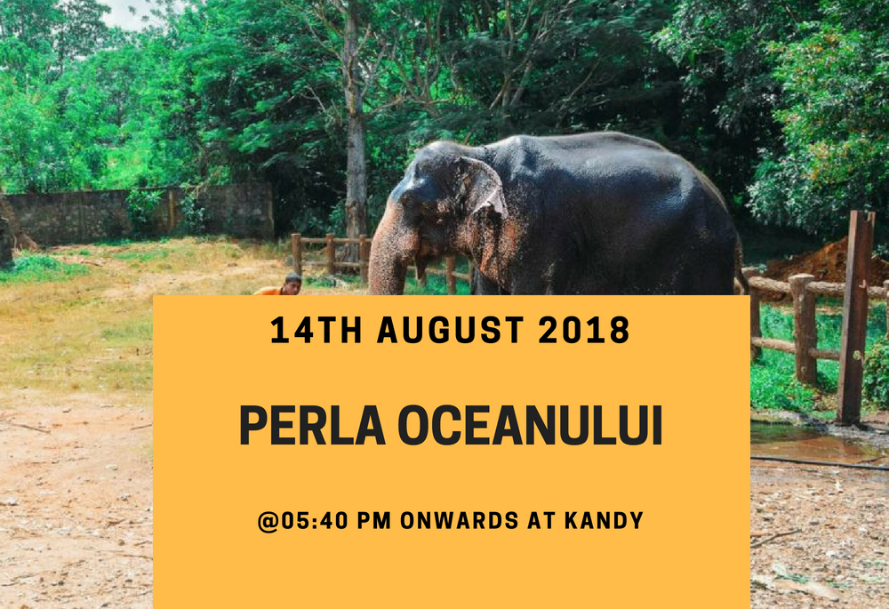 perla oceanului indian