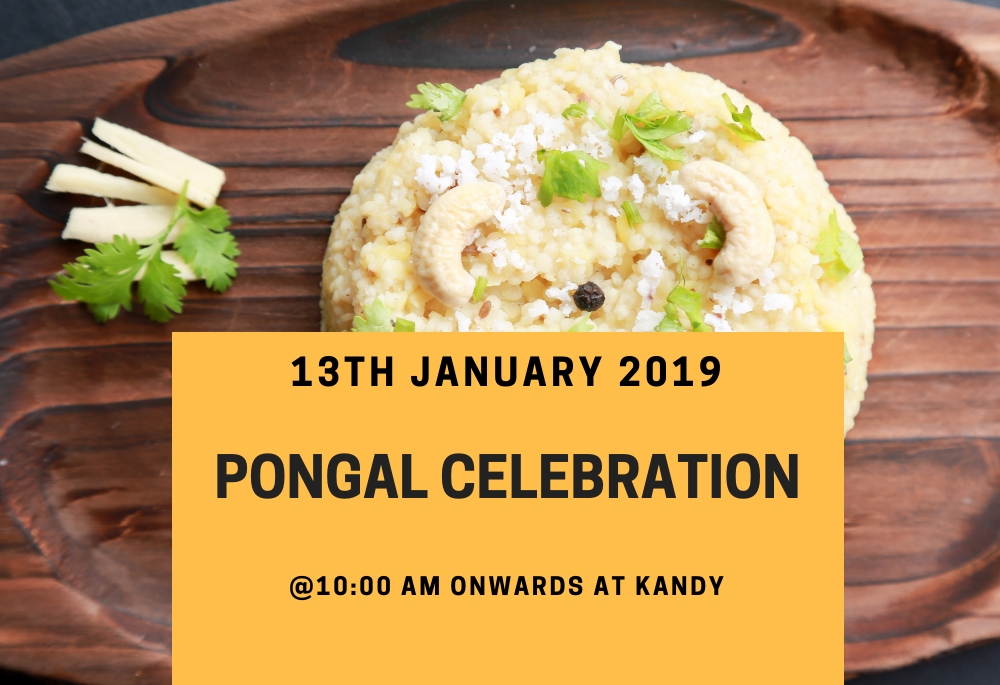 pongal