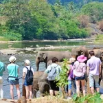 A Spiraling Economic Crisis in Sri Lanka is Hurting Tourism