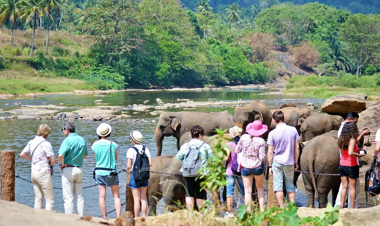 A Spiraling Economic Crisis In Sri Lanka Is Hurting Tourism 1 Sri Lanka Tourism
