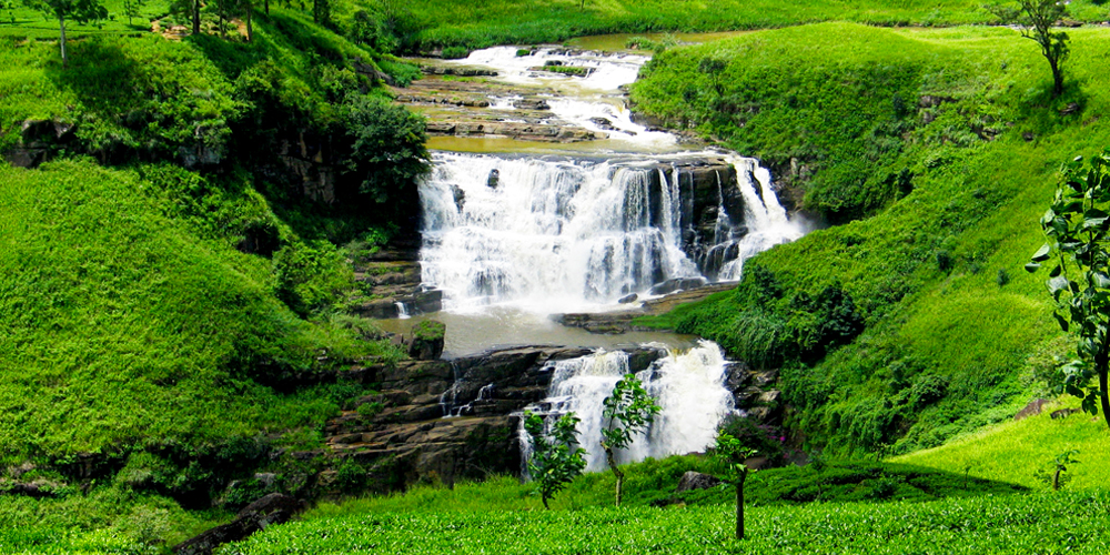 srilanka beauty