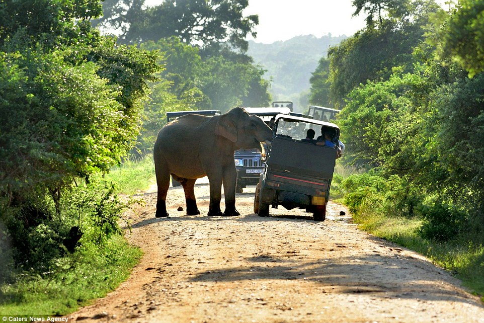 Yala National Park